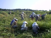 읍면동소식 - 시정뉴스 서귀포시청
