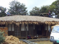 읍면동소식 - 시정뉴스 서귀포시청