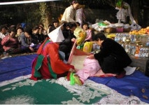 읍면동소식 - 시정뉴스 서귀포시청