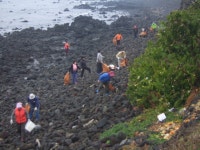 읍면동소식 - 시정뉴스 서귀포시청