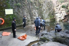 읍면동소식 - 시정뉴스 서귀포시청