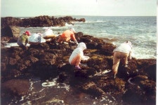 읍면동소식 - 시정뉴스 서귀포시청