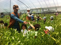 읍면동소식 - 시정뉴스 서귀포시청