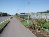 읍면동소식 - 시정뉴스 서귀포시청