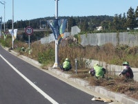 읍면동소식 - 시정뉴스 서귀포시청