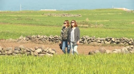 영상서귀포뉴스 - 시정뉴스 서귀포시청
