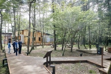 붉은오름 자연휴양림 숲속야영장 현장방문 - 시정뉴스 서귀포시청