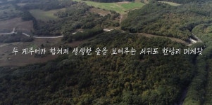 홍보영상 - 시정뉴스 홈페이지