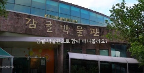 아이들과 함께 떠나기 좋은 서귀포 감귤박물관 - 시정뉴스 서귀포시청