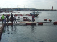 포토갤러리 - 커뮤니티 - 솜반천 영상문화축제 - 개별축제