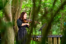제2회 웰리스 숲 힐링(Healing)축제 숲속 힐링 음악회 토닥 토닥 - 시정뉴스 서귀포시청
