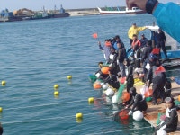 포토갤러리 - 커뮤니티 - 솜반천 영상문화축제 - 개별축제