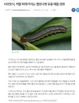 보도자료 - 경제뉴스보도자료 - 산업경제 - 분야별정보 - 서귀포시 서귀포시청