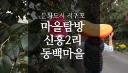     문화도시 서귀포 -  문화 -  문화/관광 - 서귀포시 홈페이지   서귀포시청