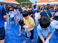 (25.05.20행사동정)송산동, 제21회 보목자리돔축제, 성황리에 마무리.. 주민과 관광객 함께한 축제의 장 - 시정뉴스 서귀포시청
