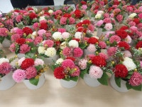 프로그램 안내 - 서귀포 청소년 포털