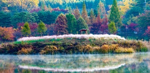 성남문화관광 > 관광테마 > 일상여행 > 성남의 물길 성남시 문화관광 성남의 물길