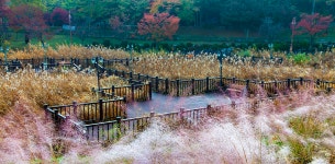 성남문화관광 > 관광테마 > 일상여행 > 성남의 물길 성남시 문화관광 성남의 물길