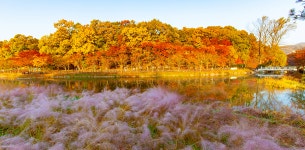 성남문화관광 > 관광테마 > 일상여행 > 성남의 물길 성남시 문화관광 성남의 물길