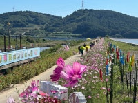 활동갤러리 목록 - 읍면동