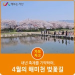 시민 리포터 - 서산시청