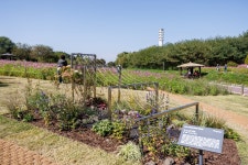 2023 서울정원박람회 2023 서울정원박람회 - 바람, 풀 그리고 정원