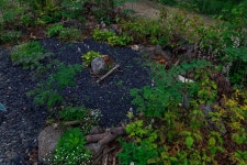 동상 [시민동행정원2] A Piece of Planet | 2025 서울국제정원박람회