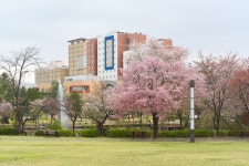 서울과학기술대학교 - 대학소개 - 홍보관 - 사진자료 - 상세내용