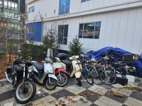 원내 무단방치 오토바이(이륜차) 및 자전거 처리에 대한 안내문 | 세브란스병원