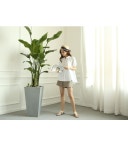 SZ BY SZ 에스지바이에스지 韩国SZ本社 P8838/슬릿린넨 숏팬츠(2컬러)