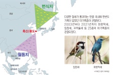 관람안내