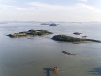 - 원본 보기 팝업창