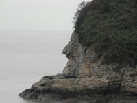 - 원본 보기 팝업창