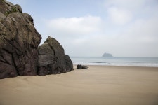 - 원본 보기 팝업창