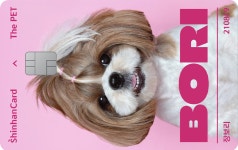 ThePET포토카드재발급수수료 | 이벤트 < 신한카드 2024년 신한카드 The PET 포토카드 어워즈 투표