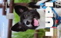 ThePET포토카드재발급수수료 | 이벤트 < 신한카드 2024년 신한카드 The PET 포토카드 어워즈 투표