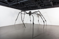 Louise Bourgeois - 루이즈 부르주아 | 전시 | 신세계갤러리 - 신세계백화점