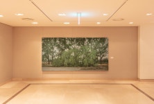 GREEN GREEN GRASS | 전시 | 신세계갤러리 - 신세계백화점