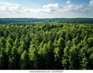 숲의 드론 사진 스톡 사진 2351903207 | Shutterstock