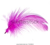 핑크 페더 스톡 사진 72350812 | Shutterstock