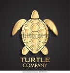 3d 황금바다거북이 로고 스톡 벡터(로열티 프리) 667921375 | Shutterstock