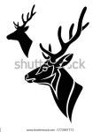 뿔뿔이 큰 벅(buck)의 흰색 벡터 초상화 스톡 벡터(로열티 프리) 1773887771 | Shutterstock