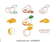 행인 스톡 벡터 및 벡터 아트 6,395개 | Shutterstock