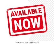 4613만개의 작금 로열티 프리 이미지 및 스톡 사진 | Shutterstock