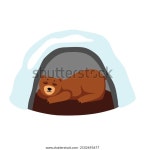 곰 굴 갈색곰은 겨울에 굴에서 잠을 스톡 벡터(로열티 프리) 2102693677 | Shutterstock