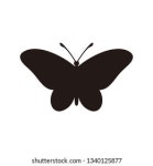 나비 검은 실루엣. 나비 날개의 모양, 스톡 벡터(로열티 프리) 2422964679 | Shutterstock