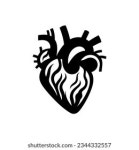 Cardiology Icon 스톡 벡터(로열티 프리) 592965899 | Shutterstock