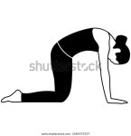 고양이 요가 포즈 일러스트레이션 아이콘 스톡 벡터(로열티 프리) 1685473357 | Shutterstock