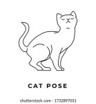 cats, cat hand drawn icon vector 스톡 벡터(로열티 프리) 1732897073 | Shutterstock