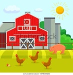 Chickens Pig Walking On Yard Farmstead 스톡 벡터(로열티 프리) 1641377230 | Shutterstock
